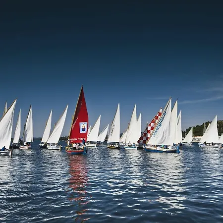 & Marinero
